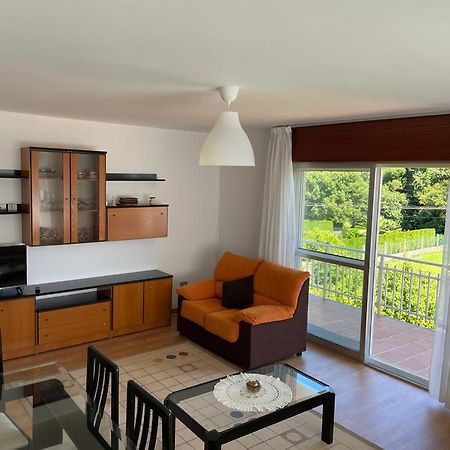 Vt O Bacelo Apartment Понтеведра Екстериор снимка